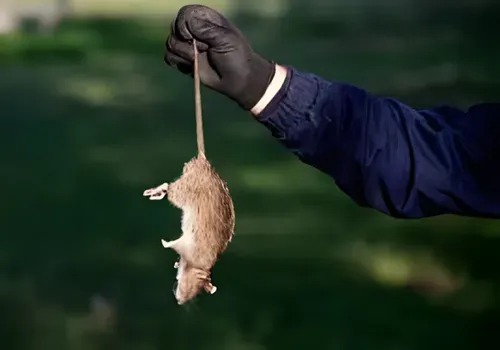 5f01dbec1d984e5ea2d82d17864cfd9c